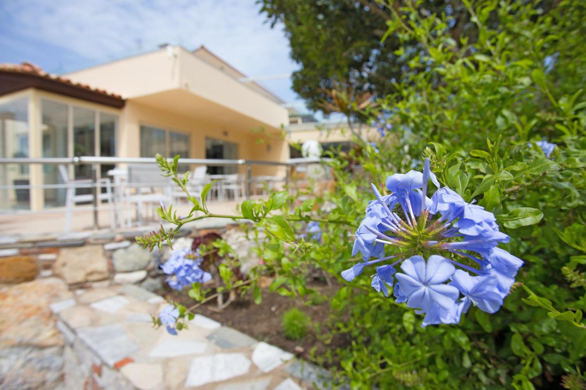 Achilleas Adults Only 4* Mastichari (Kos)